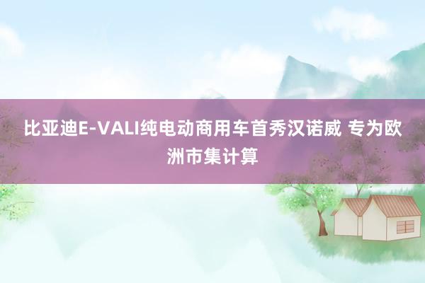 比亚迪E-VALI纯电动商用车首秀汉诺威 专为欧洲市集计算