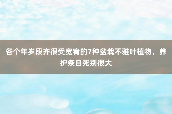 各个年岁段齐很受宽宥的7种盆栽不雅叶植物，养护条目死别很大