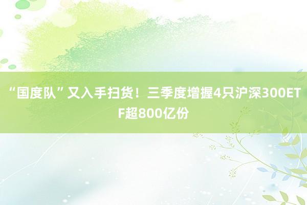 “国度队”又入手扫货！三季度增握4只沪深300ETF超800亿份