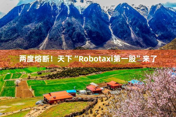 两度熔断！天下“Robotaxi第一股”来了