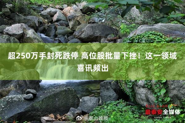 超250万手封死跌停 高位股批量下挫！这一领域喜讯频出